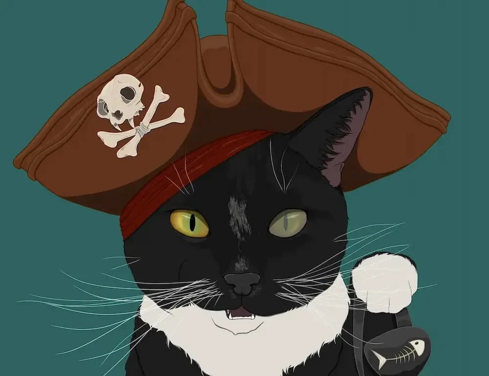 Pirate